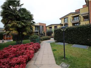 Apri Galleria Immagini