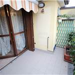 Apri Galleria Immagini