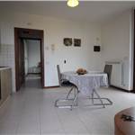 Apri Galleria Immagini