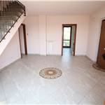 Apri Galleria Immagini