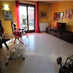 Apri Galleria Immagini