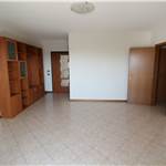 Apri Galleria Immagini