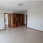 Apri Galleria Immagini