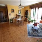 Apri Galleria Immagini