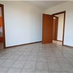 Apri Galleria Immagini