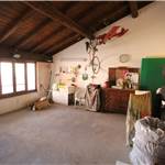Apri Galleria Immagini